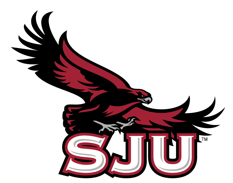 St. Joseph's Hawks 2002-2018 Secondary Logo diy iron on heat transfer